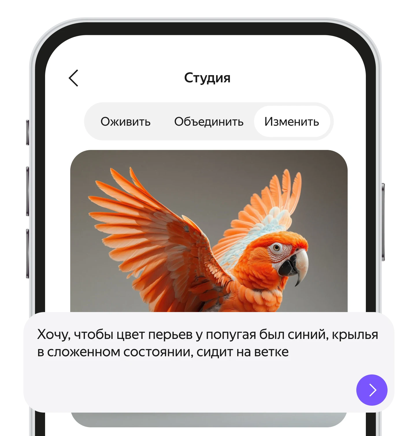 «Студия» Алисы AI, вкладка «Изменить»: фото оранжевого попугая и просьба сделать перья синими, крылья сложенными, посадить на ветку