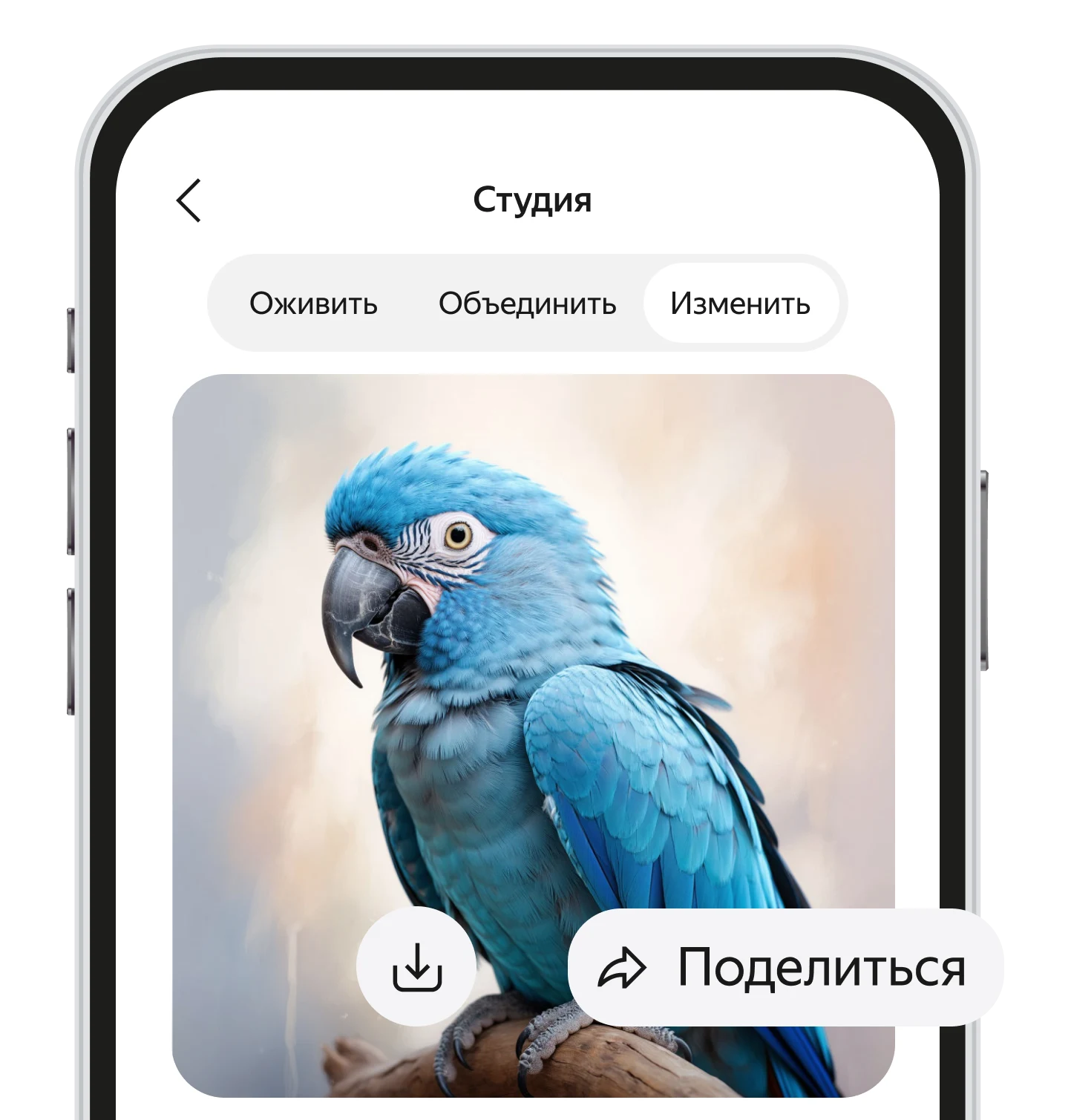 «Студия» Алисы AI: готовый синий попугай со сложенными крыльями на ветке, кнопки «Скачать» и «Поделиться»